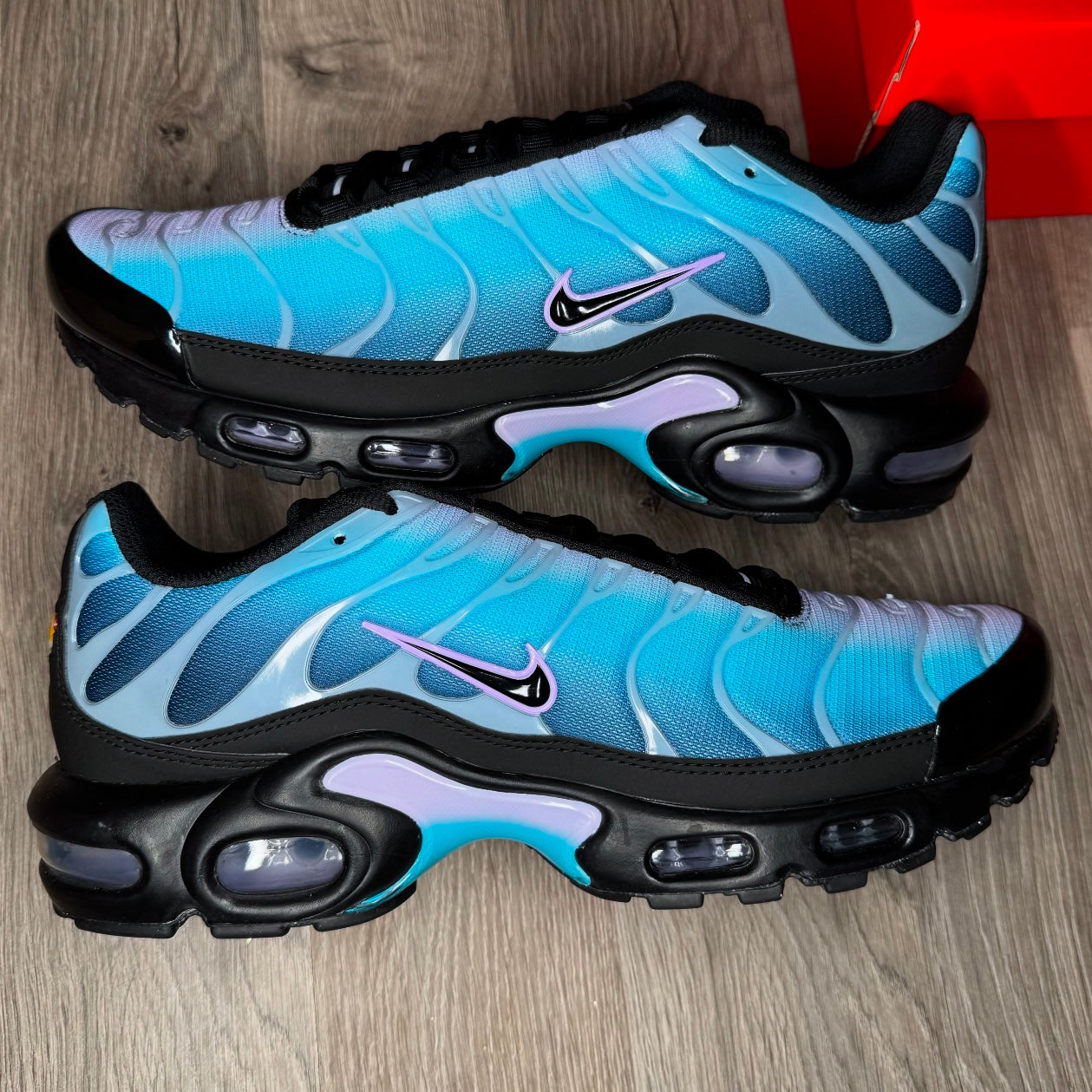 Nike Air Max Plus Black Hydrangea