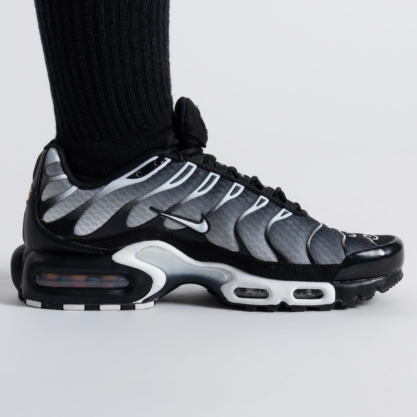 Nike Air Max Plus Metallic Silver