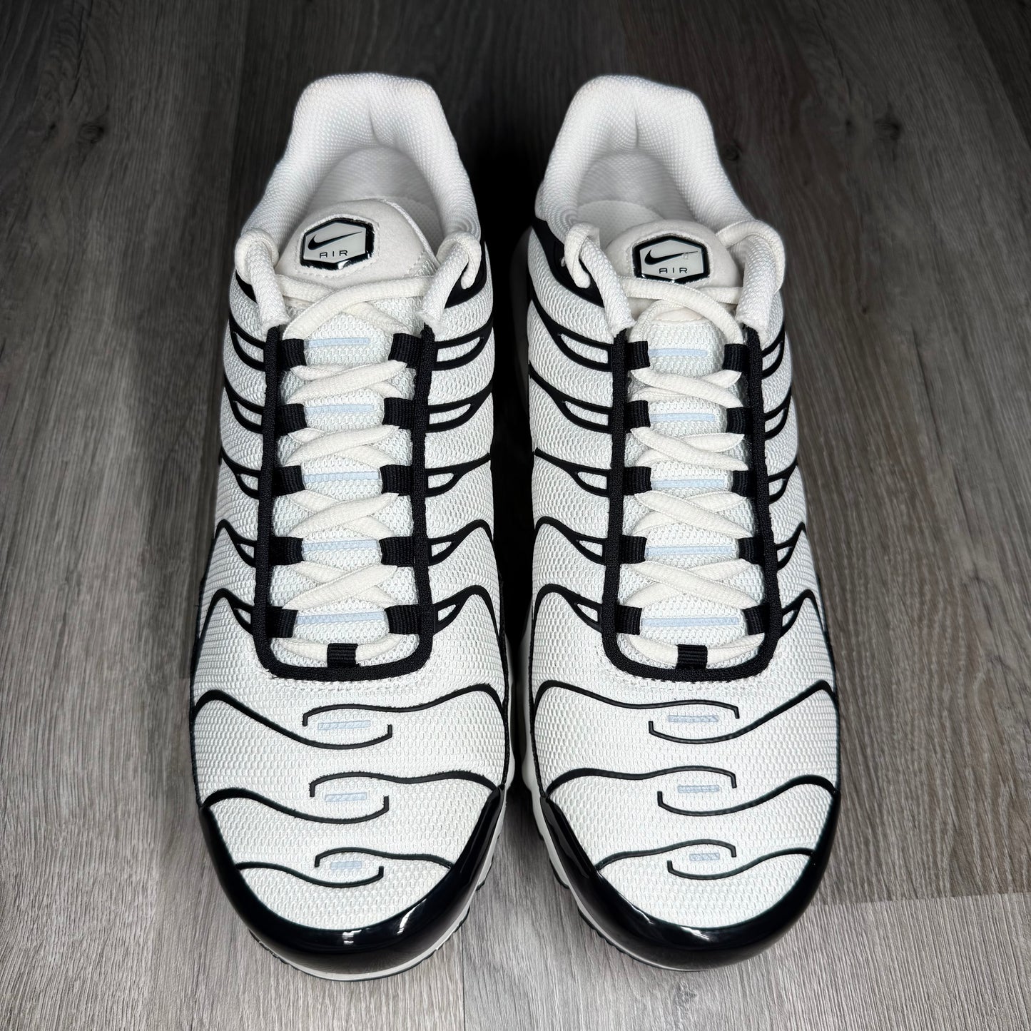 Nike Air Max Plus Panda