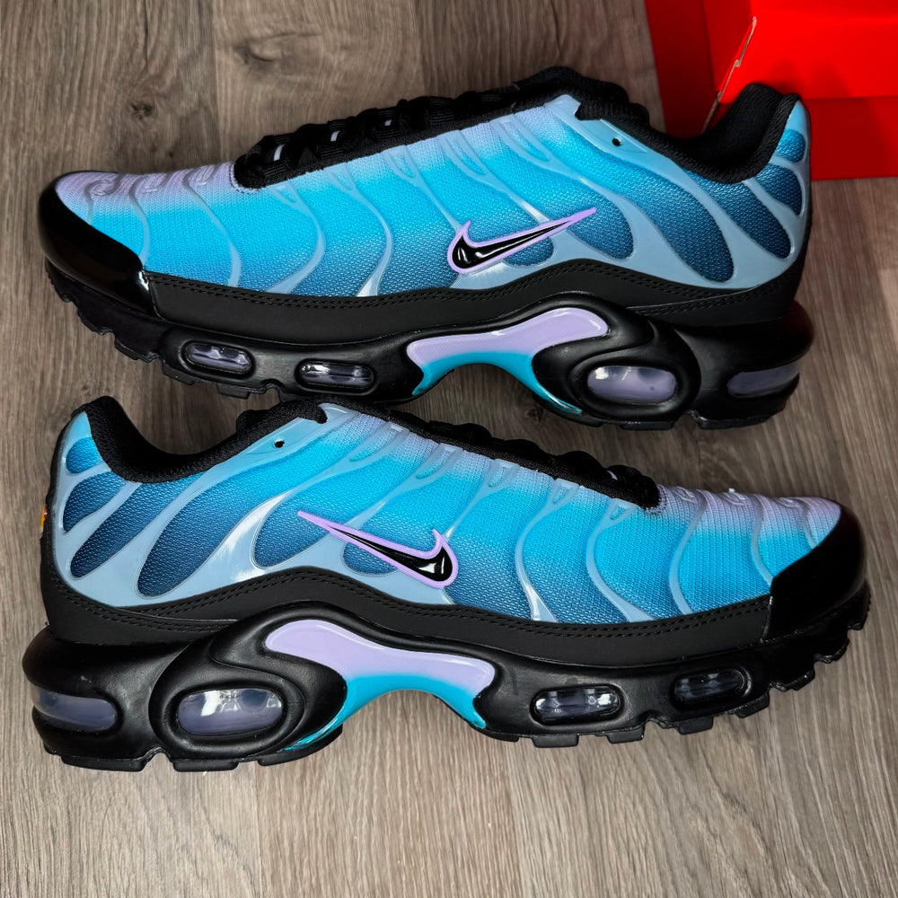 Nike Air Max Plus Black Hydrangea