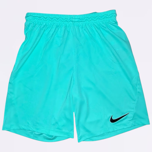 Nike Dri-Fit Shorts Mint Green (Junior)