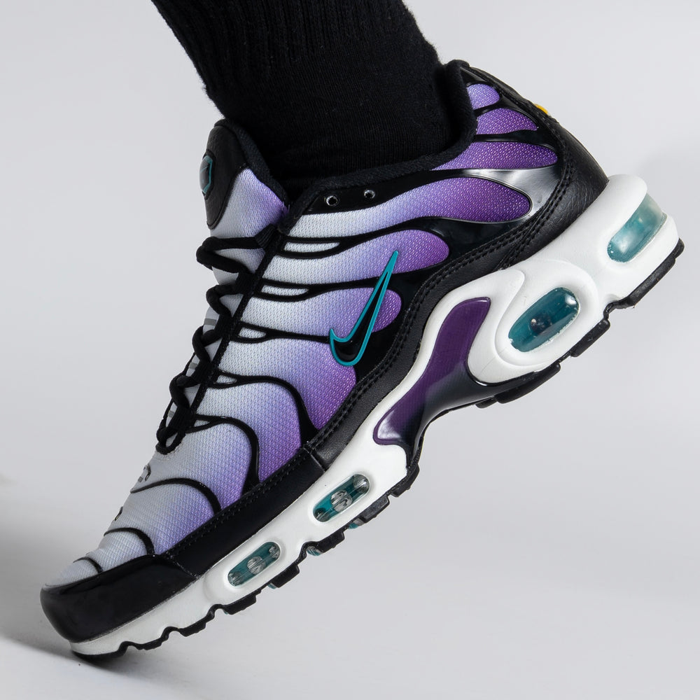 Nike Air Max Plus Disco Purple – RESTOCK3D