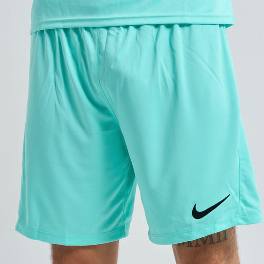 Nike Dri-Fit Shorts Mint Green