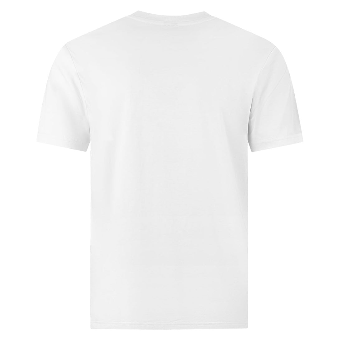 ENVI Concave T-Shirt - White / Blue