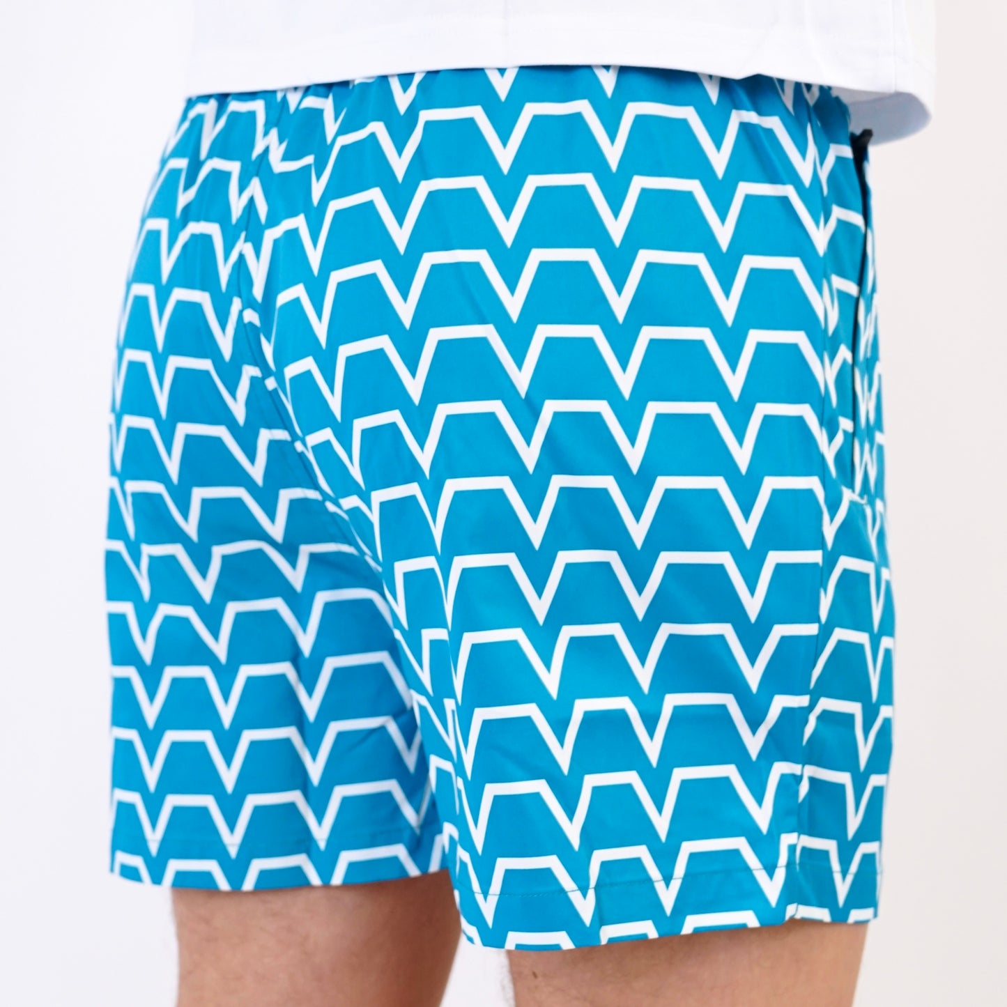 ENVI Chevron Swim Shorts - Blue / White