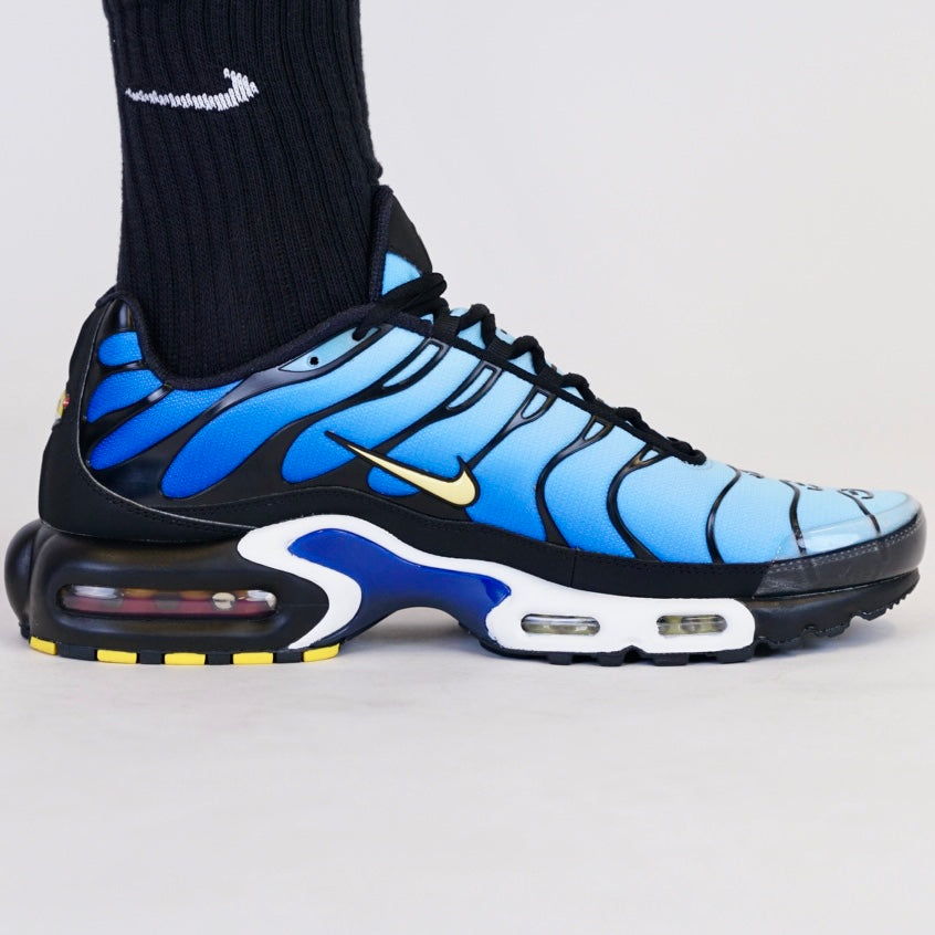 Nike Air Max Plus Hyper Blue