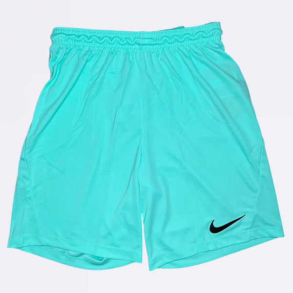 Nike Dri-Fit Shorts Mint Green
