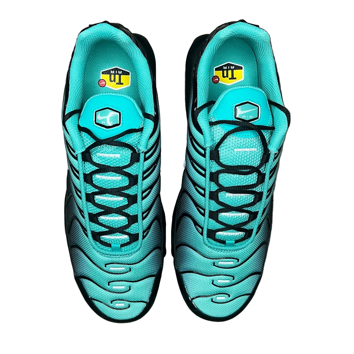 Nike Air Max Plus Aqua Fade Black