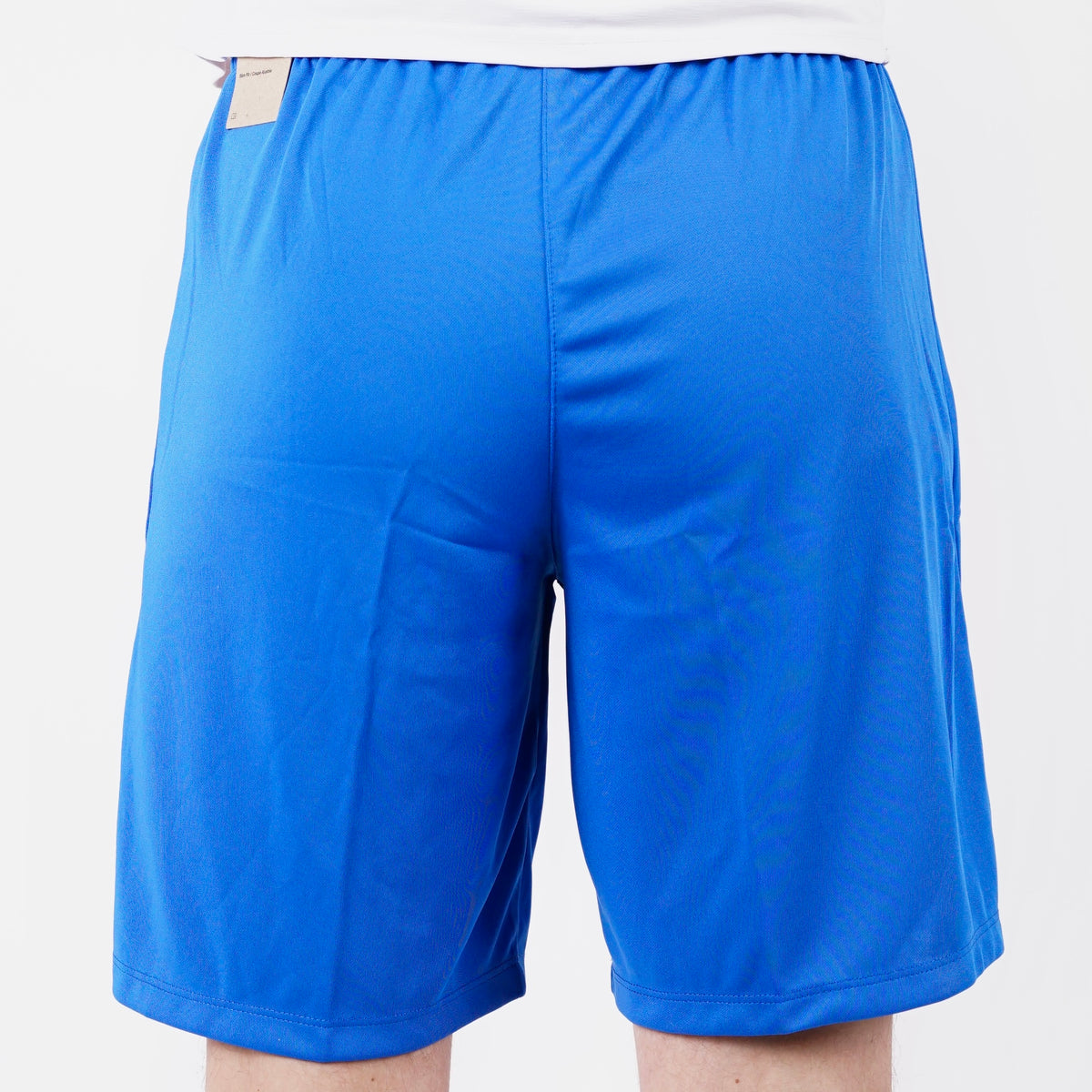 Nike Dri-Fit Shorts Royal Blue