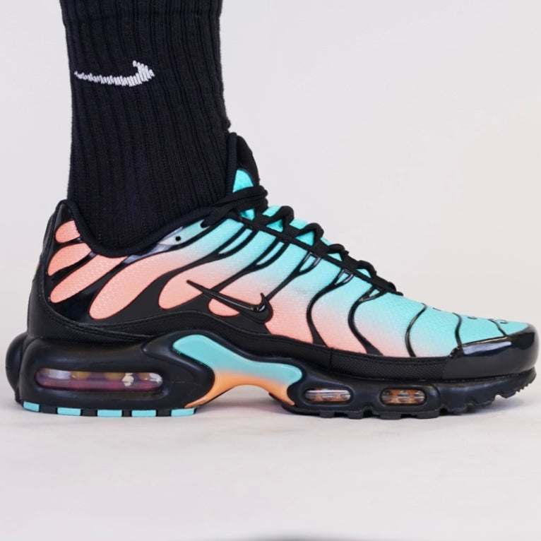 Nike Air Max Plus South Beach